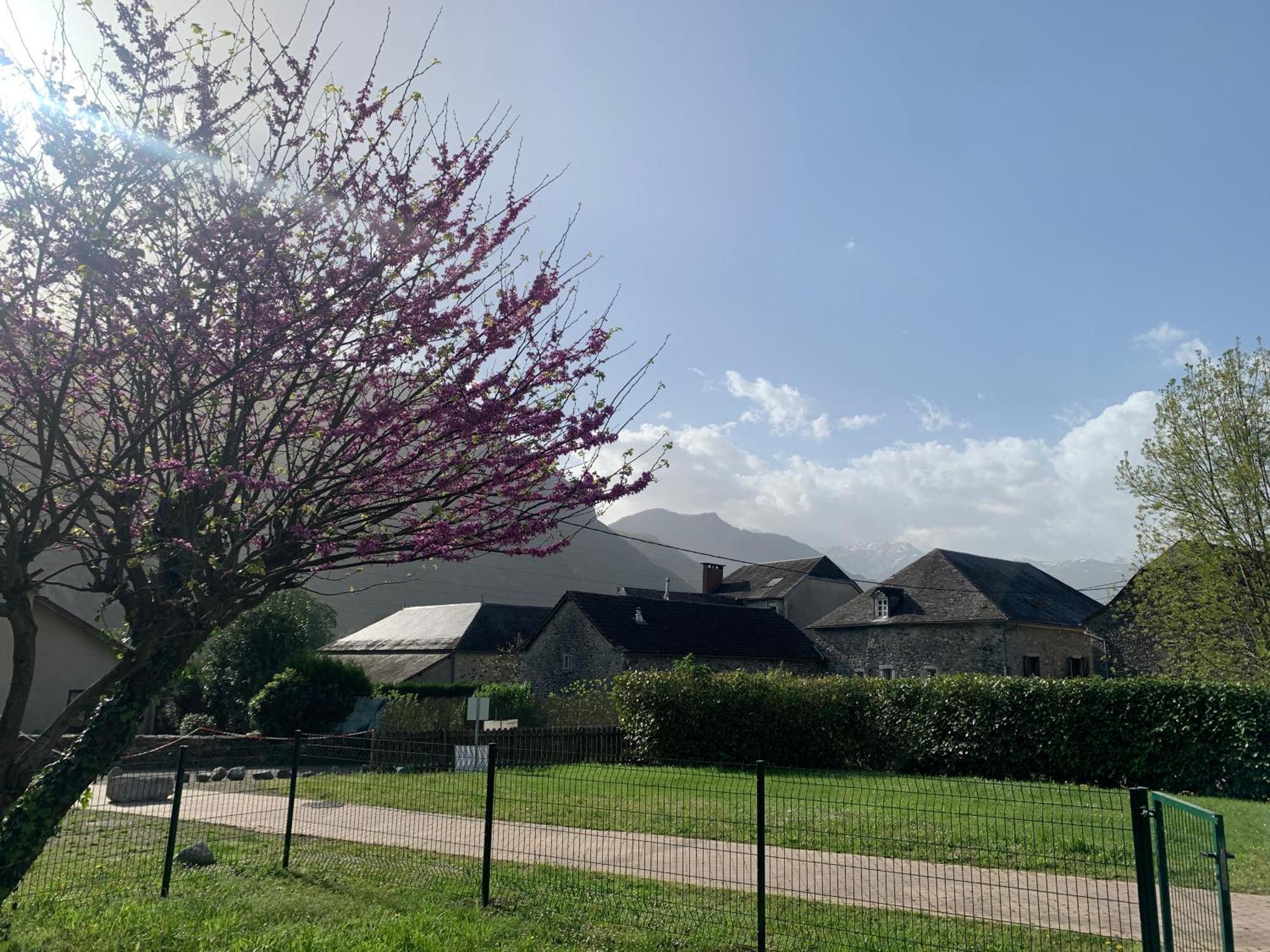 La Suite Unique - Le Jardin Sur Les Pyrenees- Vue Panoramique Montagne -Jardin Cloture Prive De 100M2-Parking-Linge De Lit Et Serviettes Compris- Bielle Ngoại thất bức ảnh